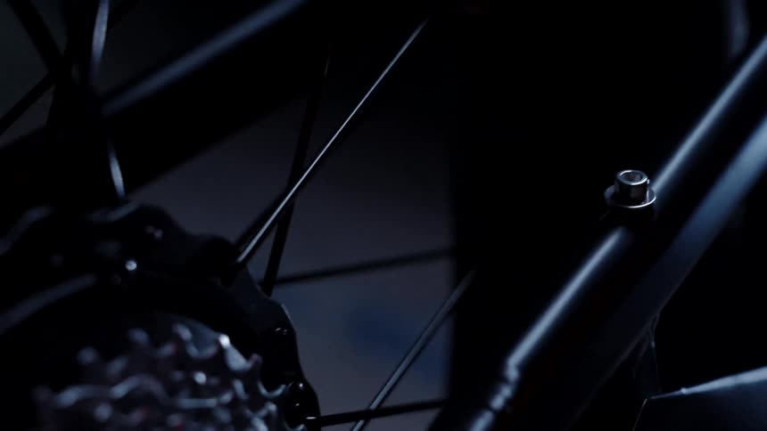 A closeup view of a bicycle cassette and spokes highlighting the intricate details