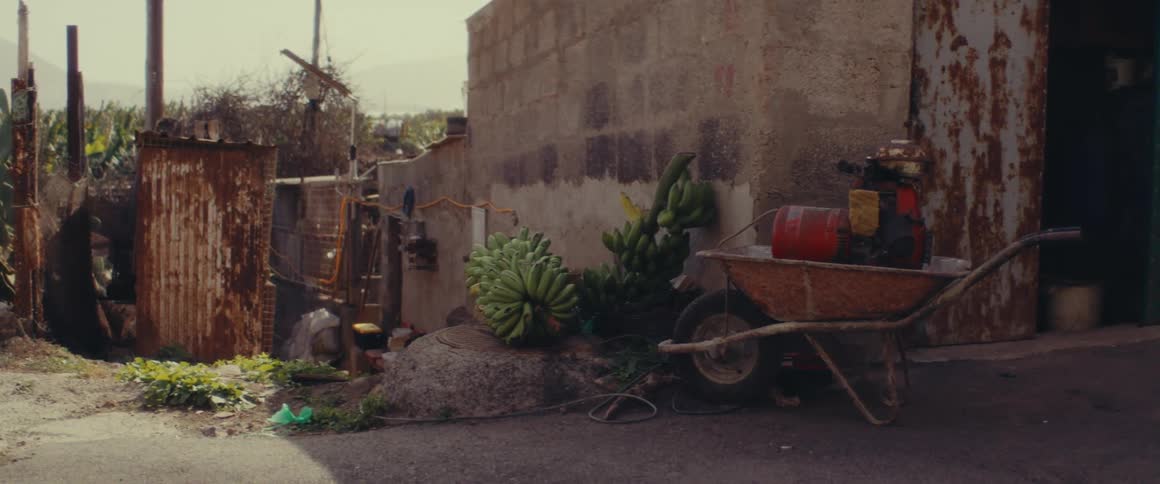 Plantain bunch on the outside of a house