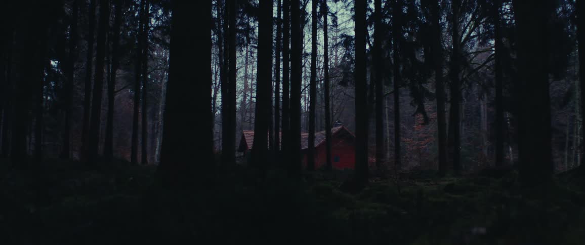 A cabin in the middle of the forest at dusk