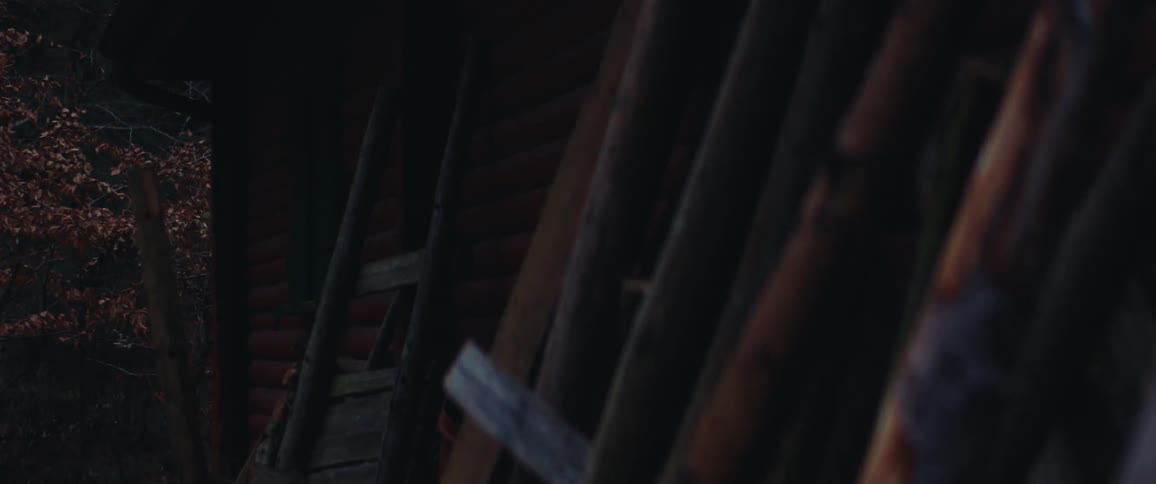 A wooden building has multiple pieces of wood leaning against it