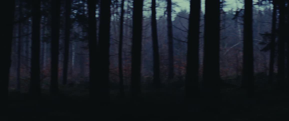 A red brick house in a spooky forest at night