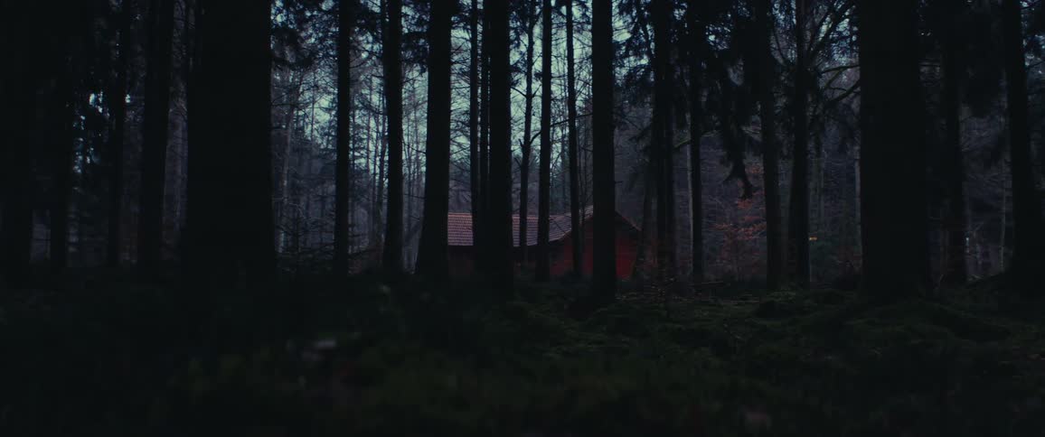 A cabin is in the dark woods