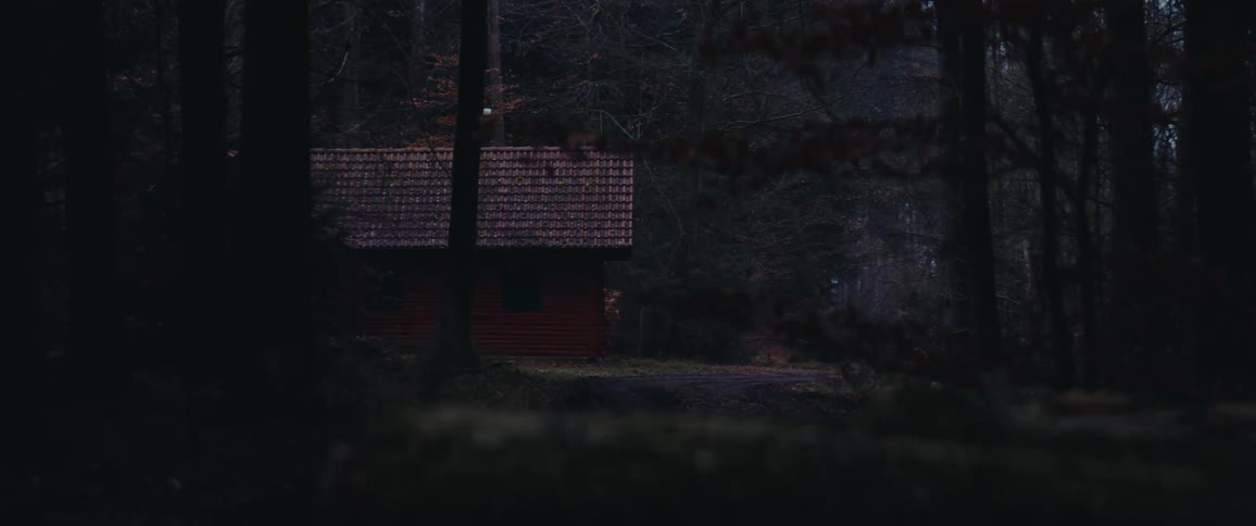 A red cabin in the woods