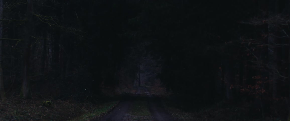 Road through a dark forest at nightfall
