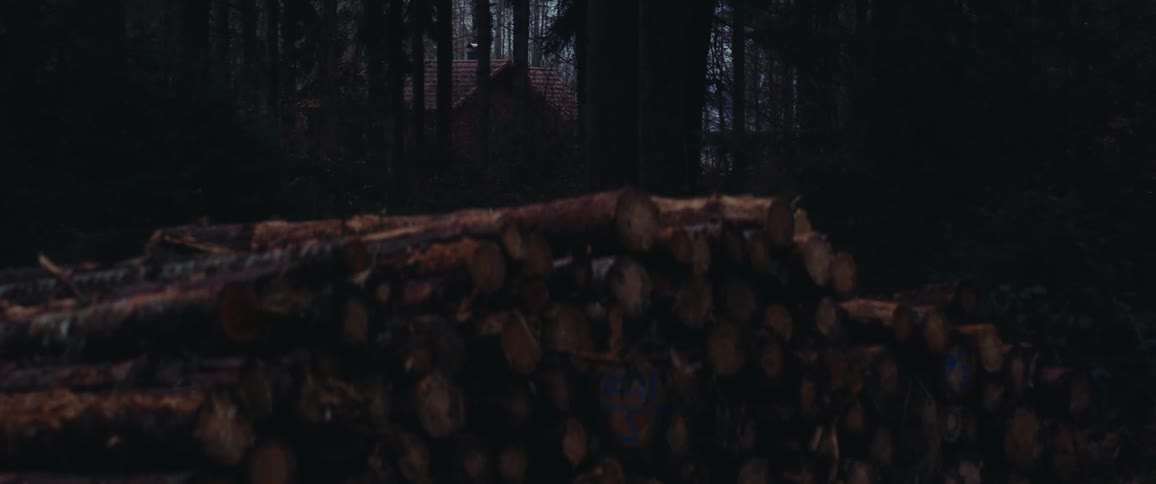 Wood pile of stacked logs in forest