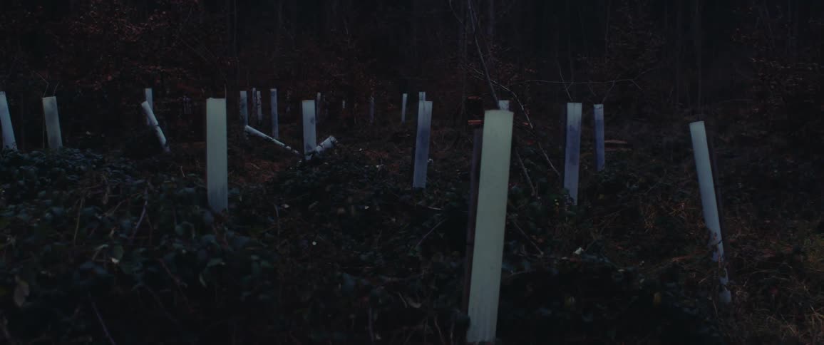 Wooden poles next to a dark forest