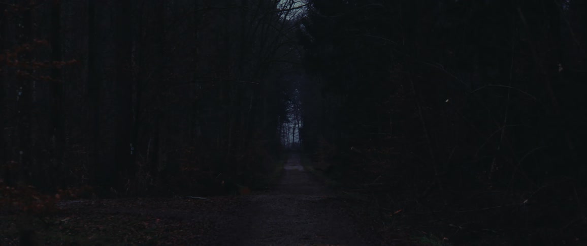 The woods are very dark
