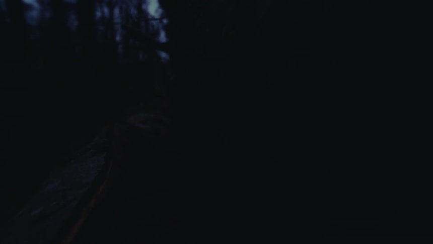 Light illuminating cut logs in the forest at night