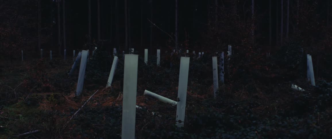 Posts cover the forest
