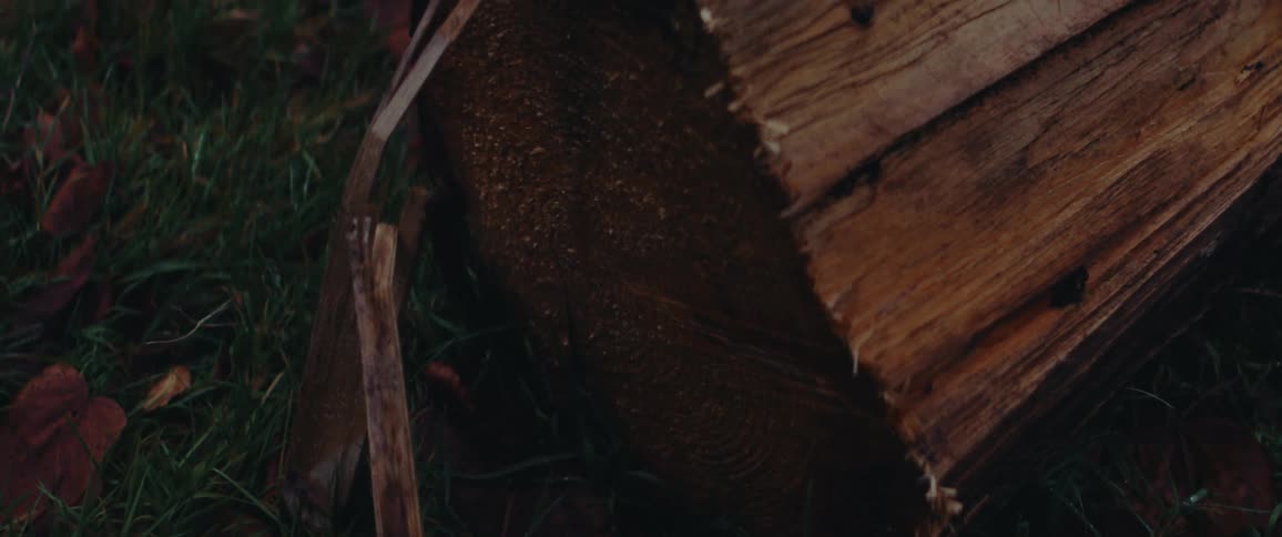 A wooden object is on a green grass surface