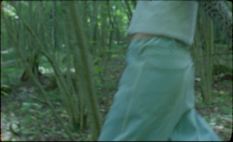 Teenagers walk through the forest