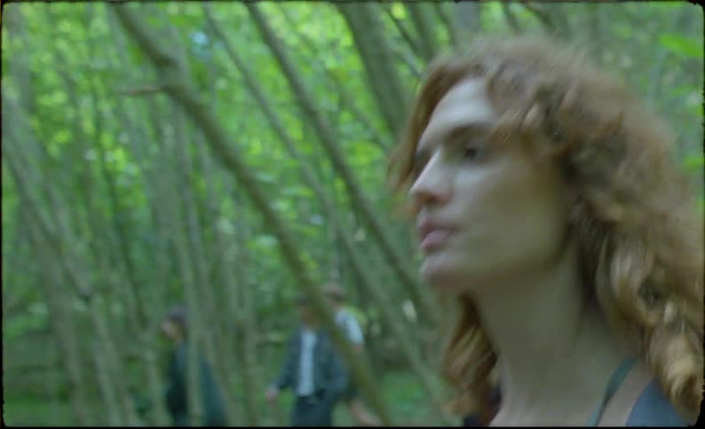 A group of teenagers walk through the forest