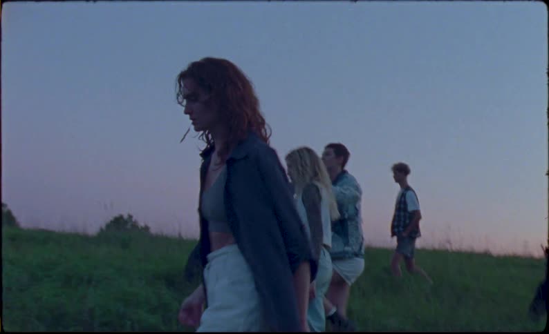 A group of friends walking in a meadow at dusk