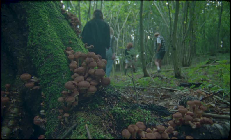 Group of friends walking in the forest