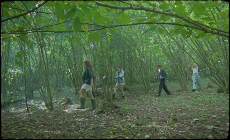Group of friends walking in the forest