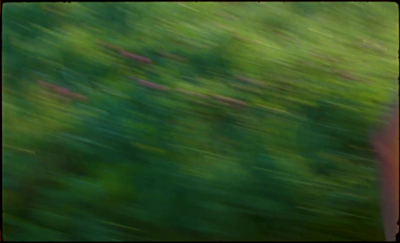 Beautiful young teenagers prowling in the forest caught on vintage film