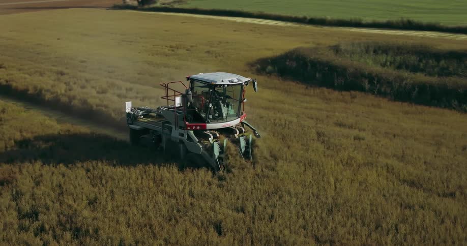 Aerial view of a combine harvesting crops in a field