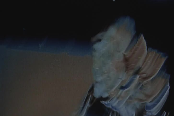 Silhouette of a woman with vhs video distortion