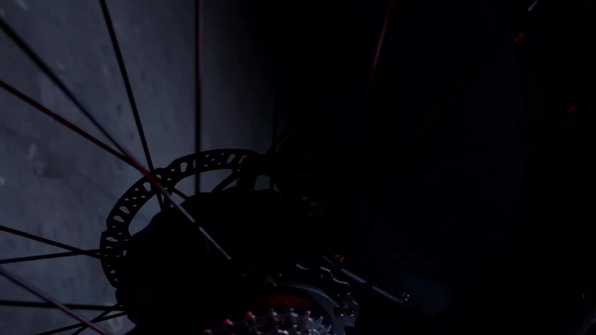 Spinning around a bicycle wheel