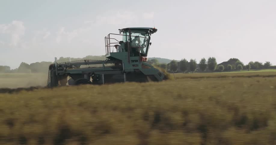 A tractor harvesting a crop during the day