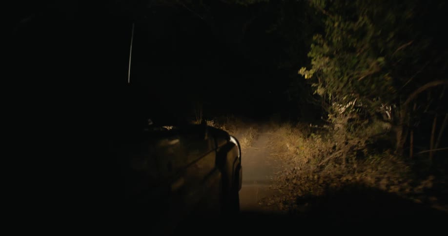 A car driving in the dark lonely road with trees on both side