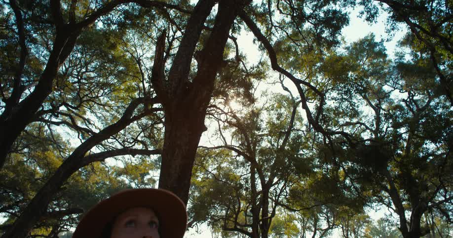 A woman admiring the jungle trees during a nature adventure
