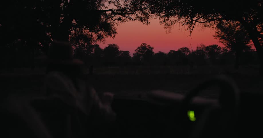 A woman gets out of the car and walks into the forest