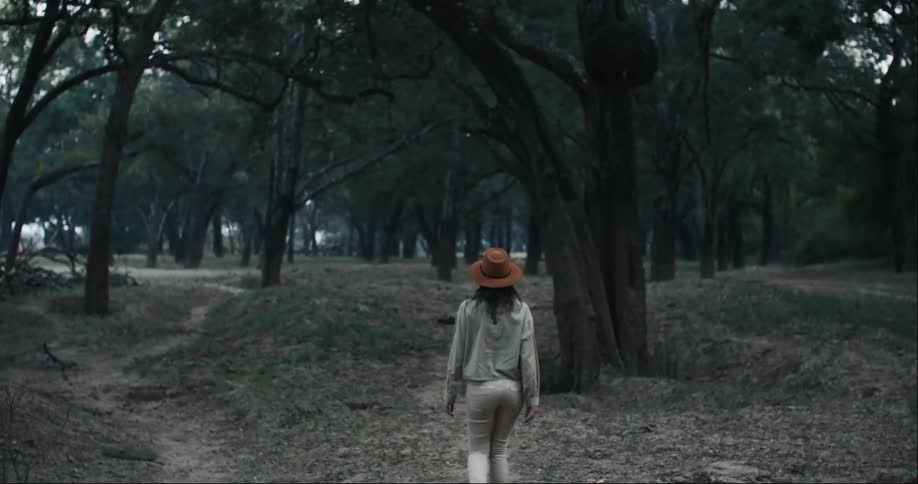 Woman wearing a hat walk through a forest in a park