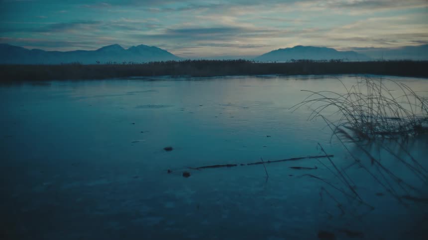 Fog obscures mountains bordering forest covered lake shore