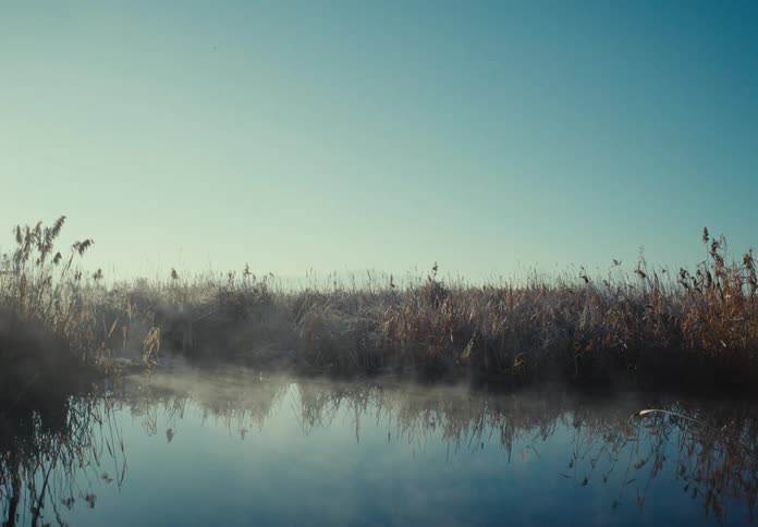 Close up of mist over a swamp at morning