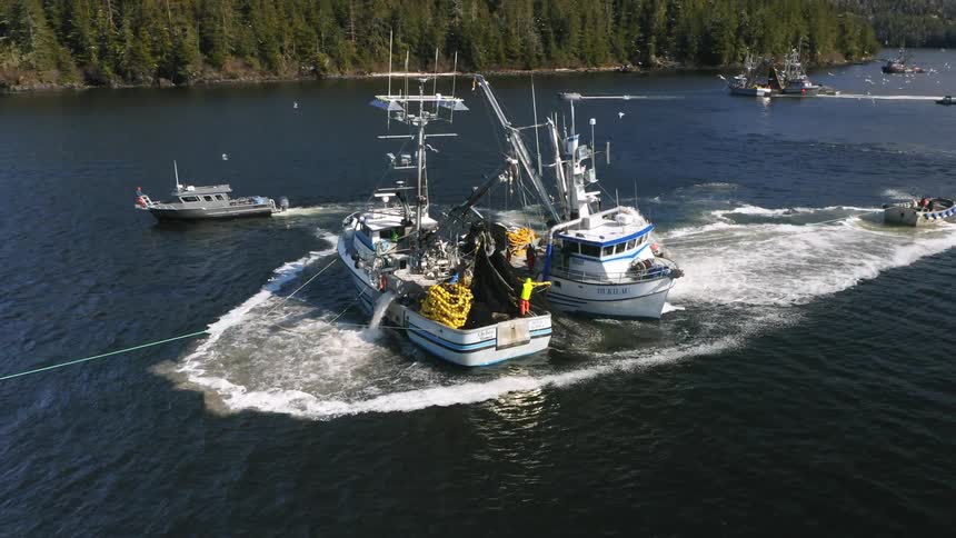 Aerial of fishing boats on the ocean during the day