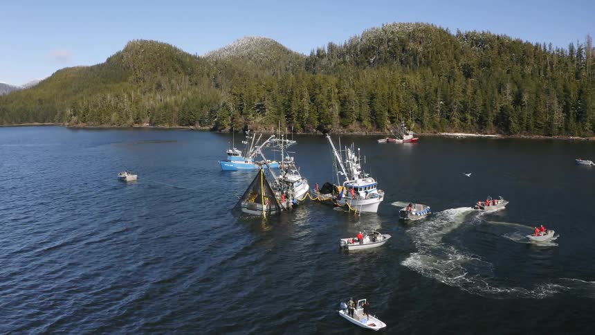 Commercial fishing boats catch herring with snowy mountains in background