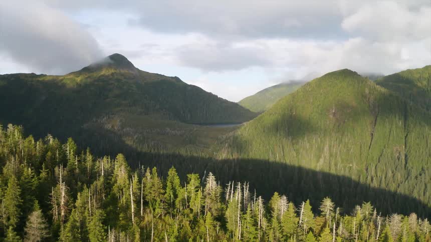 Aerial view of a ridge in the Tongass National Forest Alaska