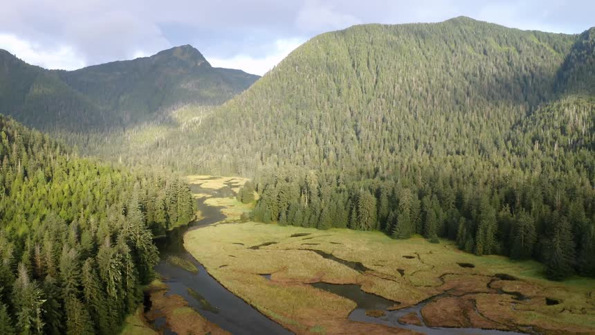 Aerial of a valley with rivert and mountains on a sunny day in the Tongass National Forest Alaska