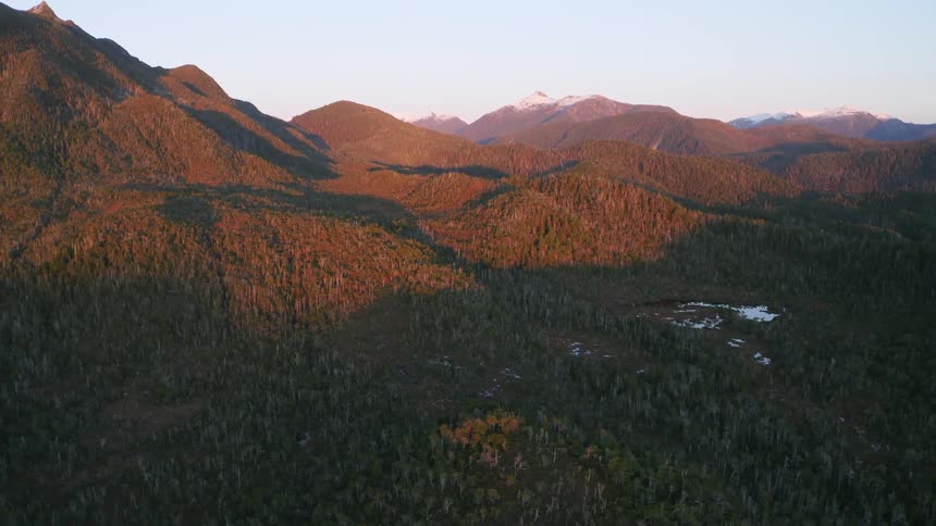 Aerial view of rainforest in the mountains at sunset in the Tongass National Forest Alaska