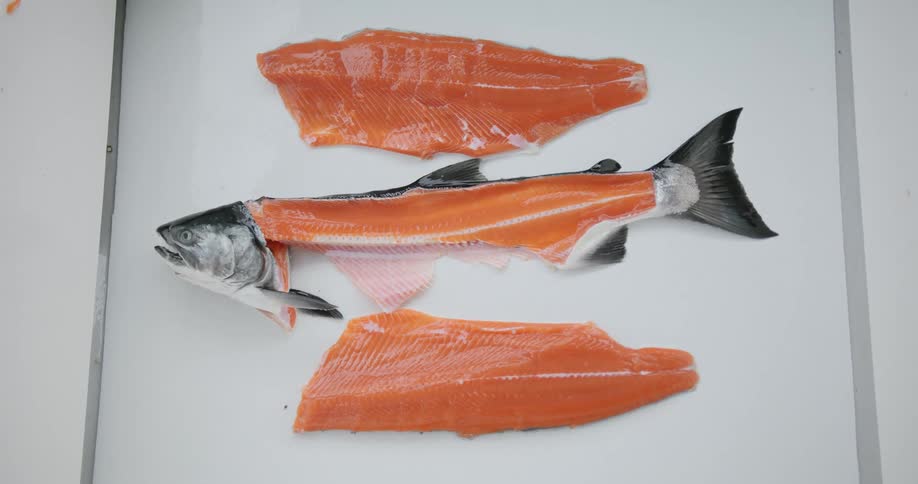 Salmon fish sliced into three parts