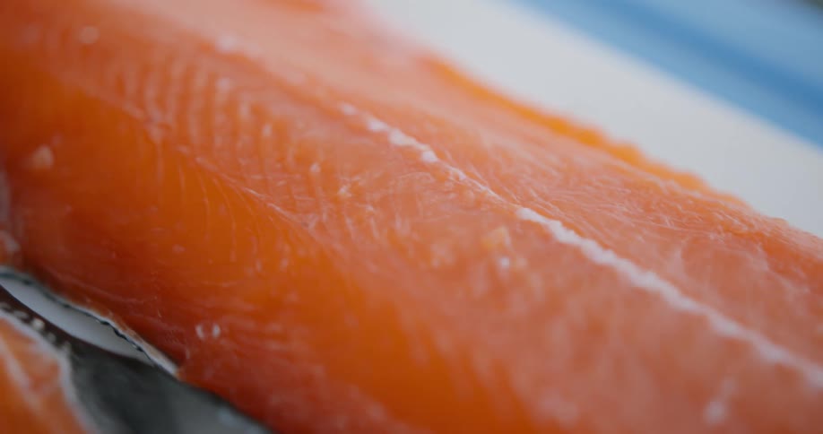 A clip of a salmon fish