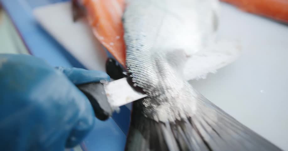 Fisherman cuts some salmon in half with a sharp knife