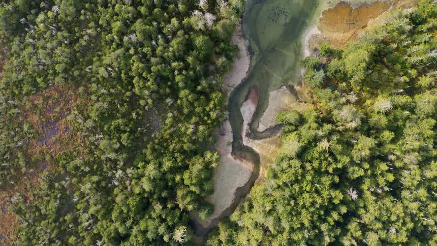 Aerial of a rainforest forest with a lake with crystal clear waters in the Tongass National Forest Alaska