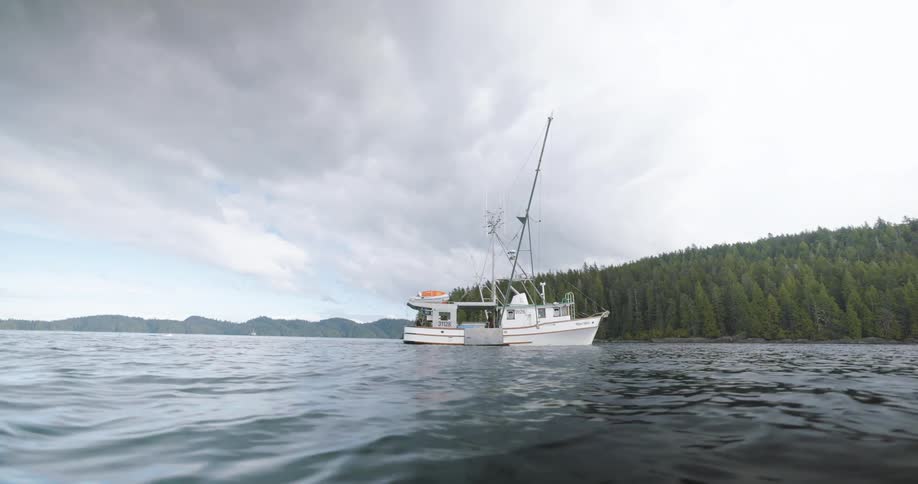 A commercial boat Fishing for salmon on ocean