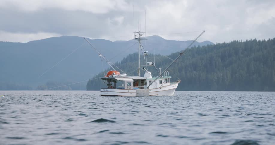 A commercial boat Fishing for salmon on ocean