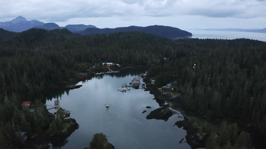 Aerial view of a boat entering a bay near a coastal town in the forest