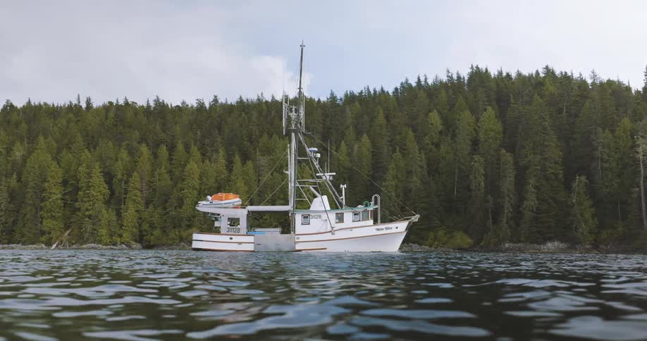 A commercial boat Fishing for salmon on coast with a forest of green pine trees on a bright day