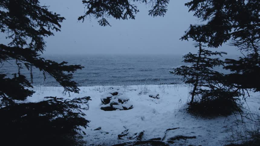 A snowy landscape with ocean crashing on beach