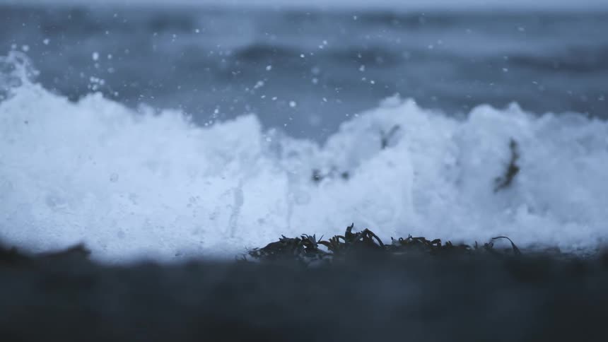 Waves crash on the coast over seaweed