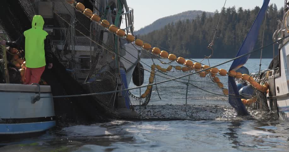 Two fishing boat connected with a net as another boat drive by
