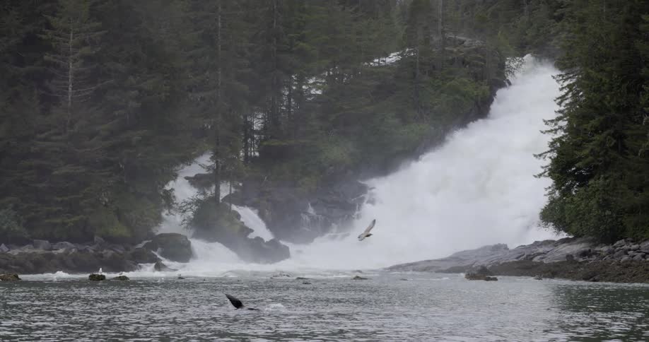 Seagulls fly next to a large waterfall on the ocean