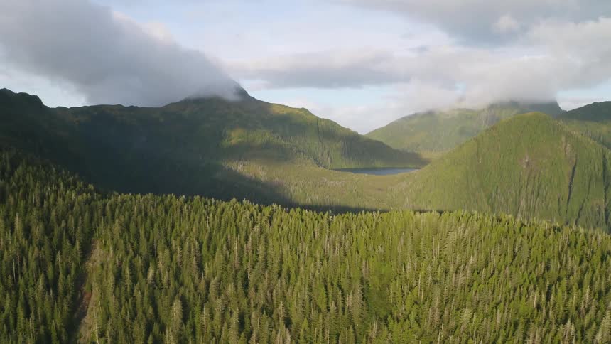Aerial of forested mountains and valleys in the Tongass National Forest Alaska