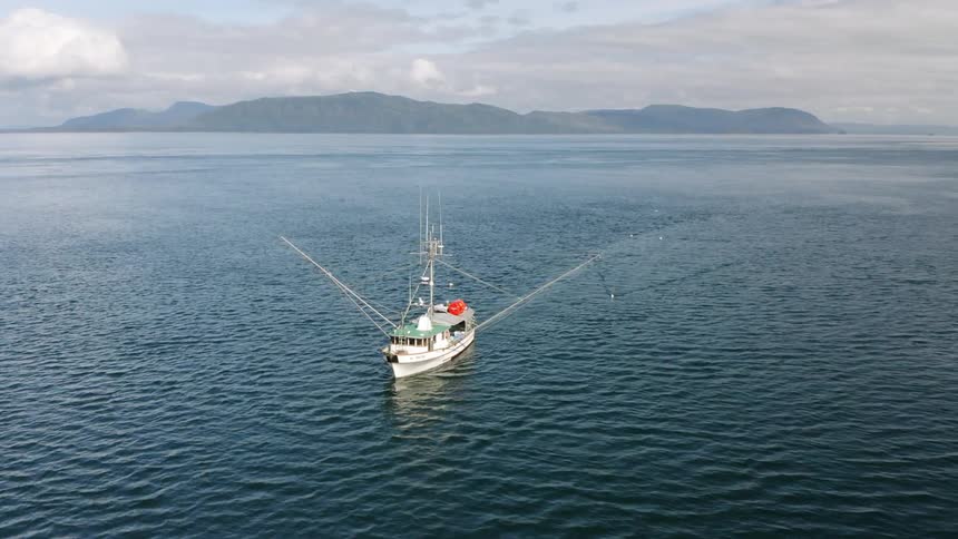 Aerial view of a fishing boat in the ocean