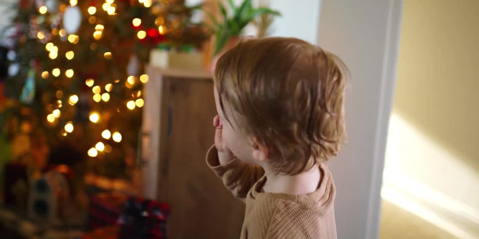 Boy enters the living room and finds the christmas tree